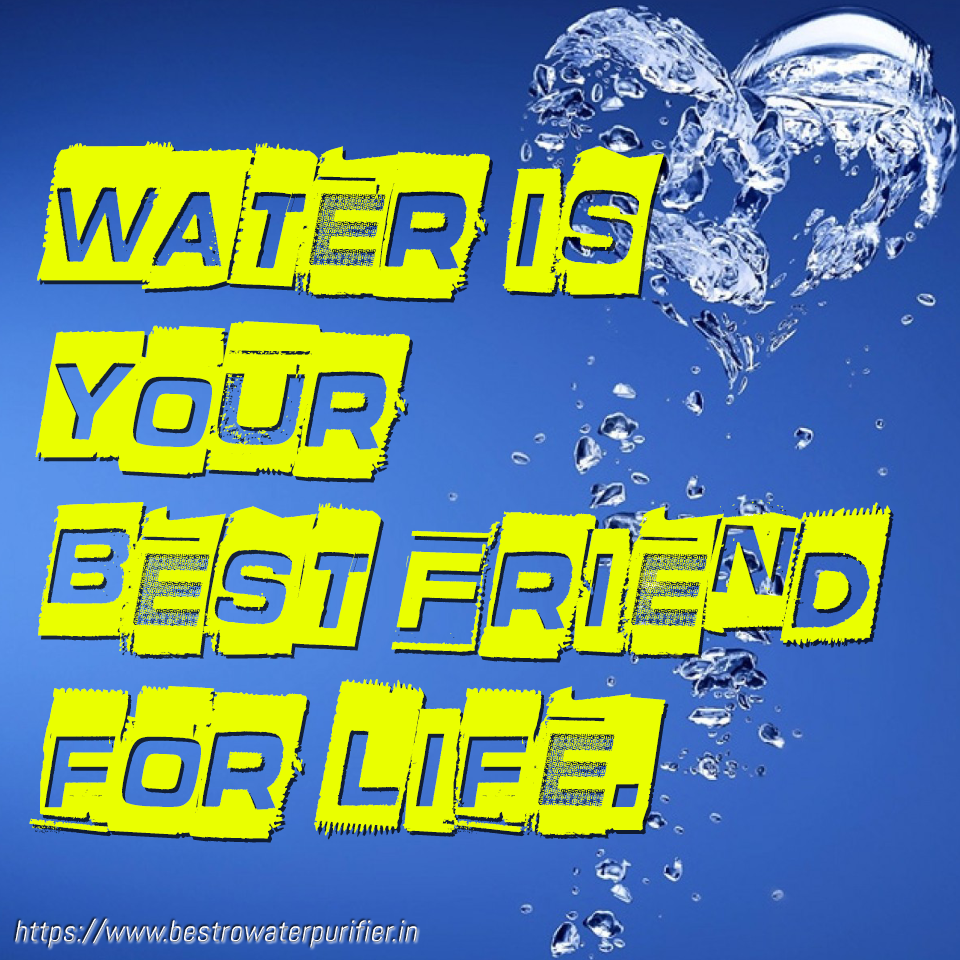 Water Quotes & Sayings - Best Quotes about Importance of Water