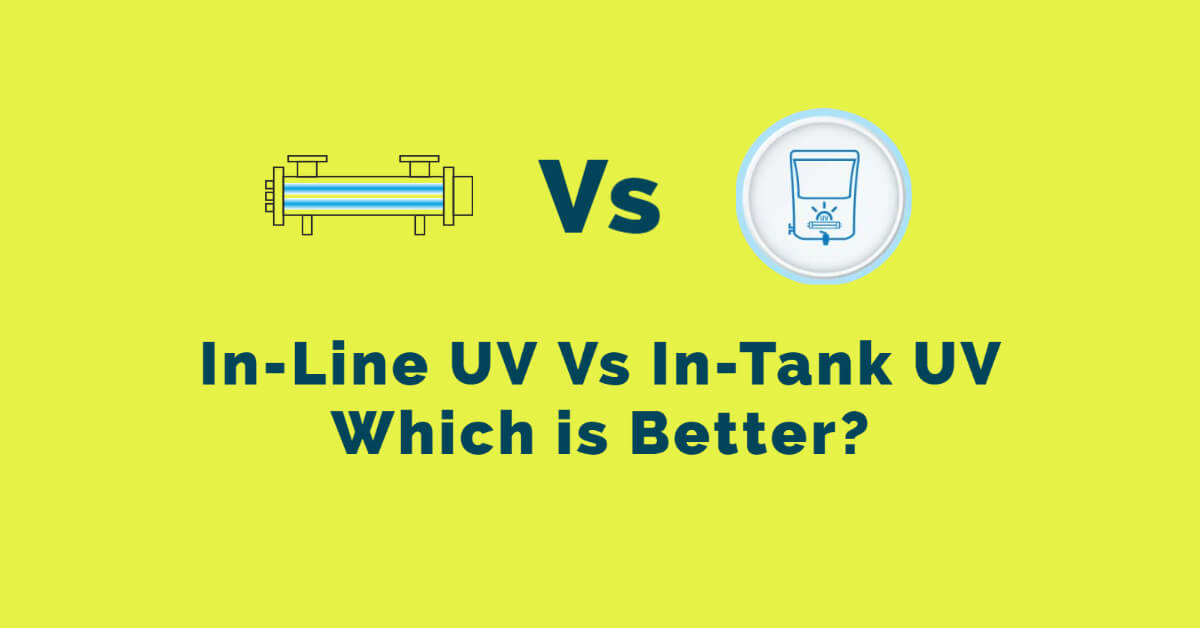 The Benefits of Using a UV Lamp in the Storage Tank of a Water Purifier